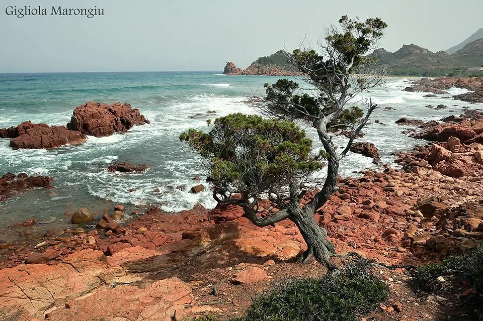 Le Roverelle Ilbono 意大利