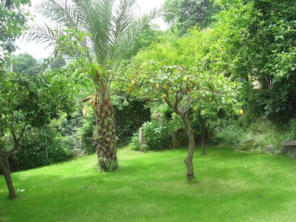 Le Roverelle Ilbono